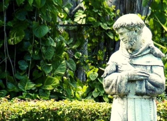 escultura de são francisco de assis com jardim ao fundo