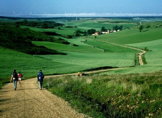 pessoa caminhando em uma trilha de terra em meio a uma paisagem verde e sob céu azul