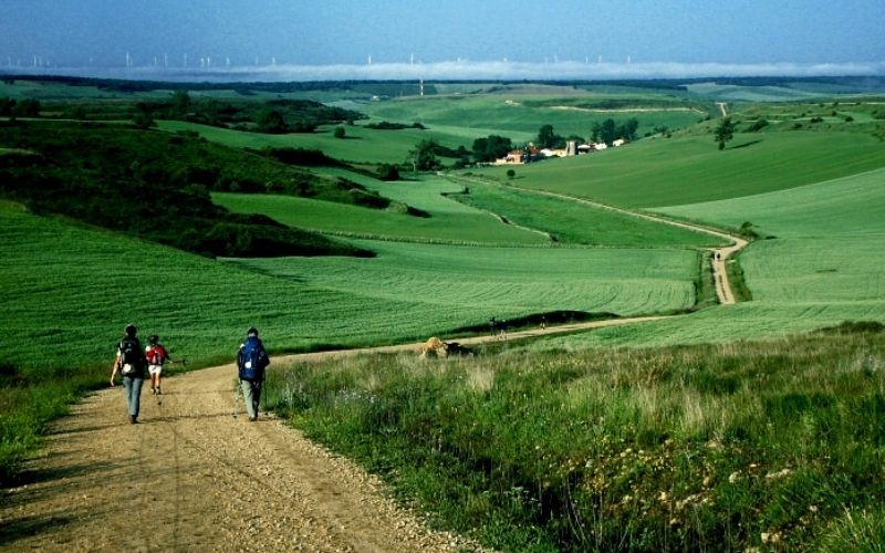 pessoa caminhando em uma trilha de terra em meio a uma paisagem verde e sob céu azul