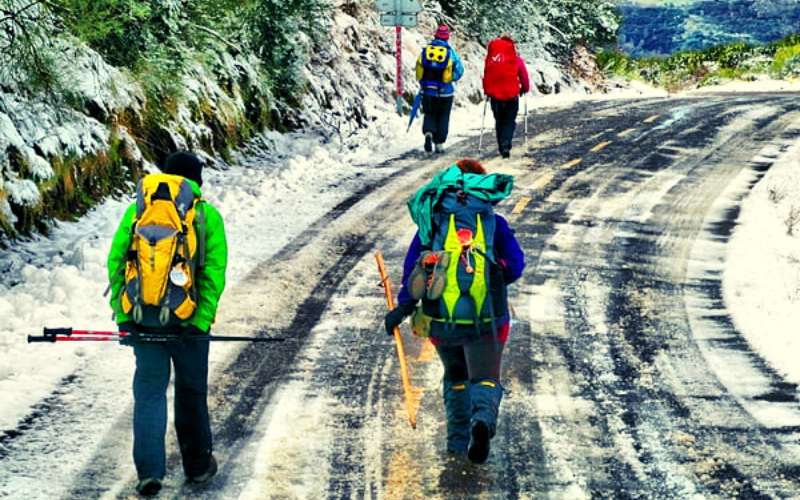 grupo com roupas coloridas caminhando em estrada com neve