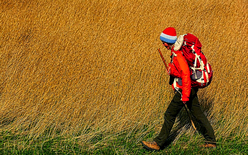 peregrina com jaqueta e gorro vermelho, cajado caminhando à beira de um campo de trigo seco