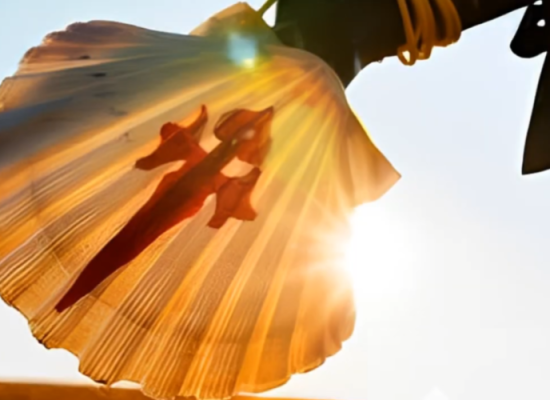 concha de vieira com a cruz de santiago pintada em vermelho fixado em um cajado